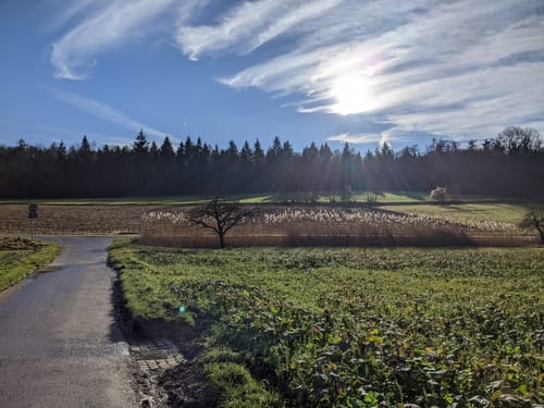 Markgröningen - Bissingen