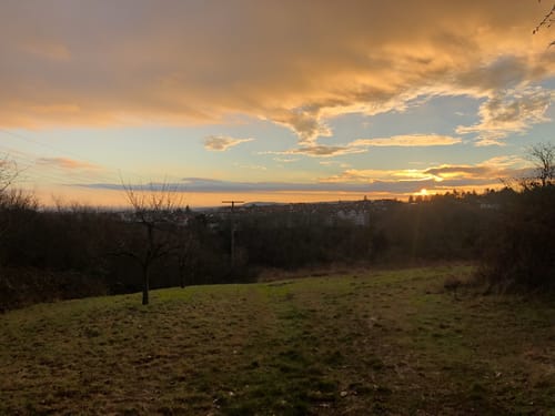 Rund um den Waldbach