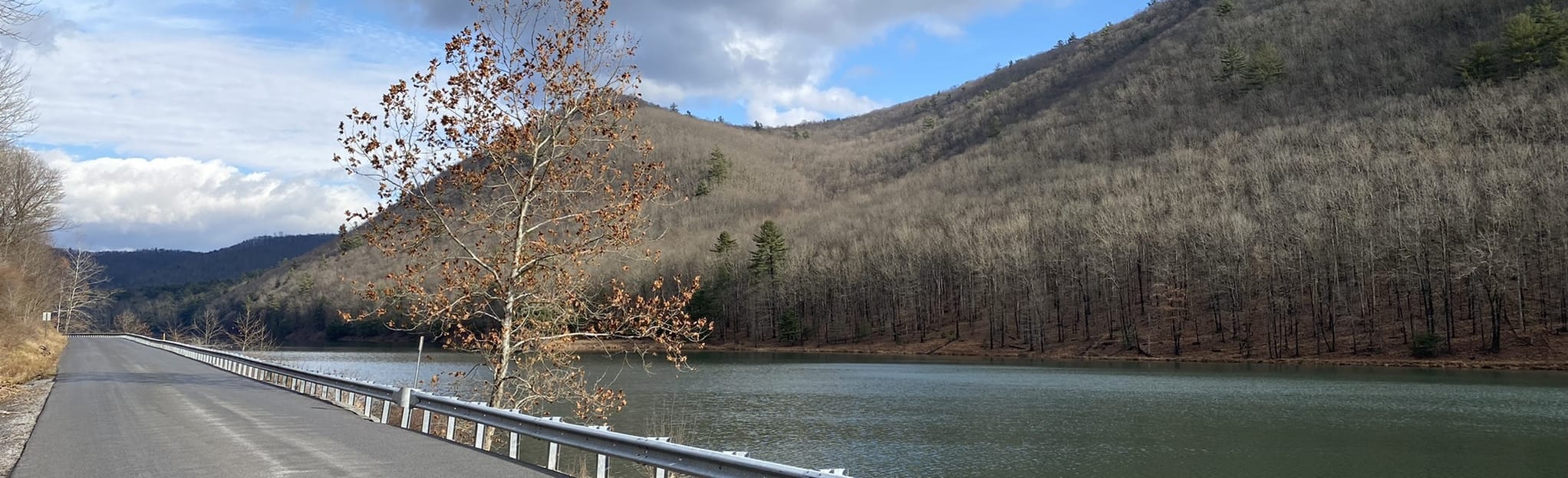 Kettle Creek Vista and Butler Hollow Trail, Pennsylvania 9 Reviews, Map AllTrails