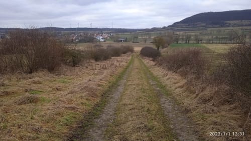 Rund um Motzfeld