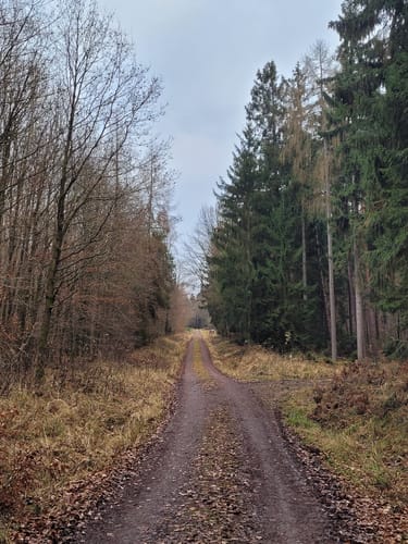 MTB Tour: Bad Orb - Wirtheim - Friesenheiligen - Bieber