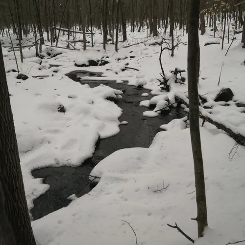 Best Dog Friendly Trails in Dunham AllTrails