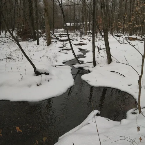 Best Dog Friendly Trails in Dunham AllTrails