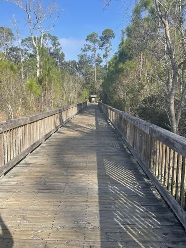 10 Best Road Biking Trails in Gulf Shores | AllTrails