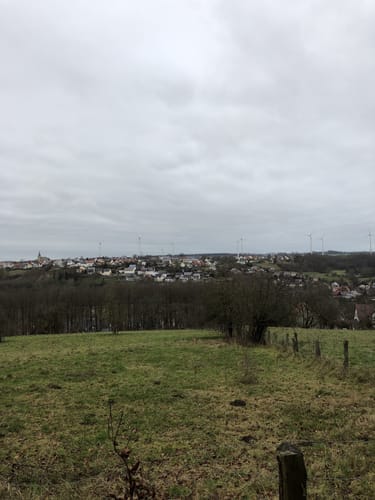 Entdeckertour Leiberger Wald