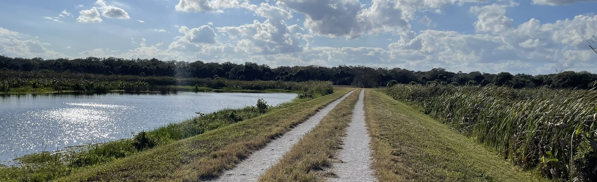 Taylor Creek Loop, Florida 48 Reviews, Map AllTrails