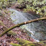 Springer Mountain And Ball Mountain Via Appalachian Trail, Georgia ...