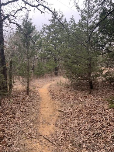 Lake Murray Hiking Trails Best 10 Trails In Lake Murray State Park | Alltrails