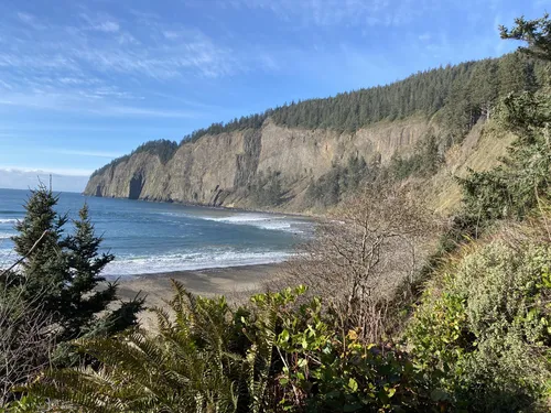 Cape lookout state outlet park trails