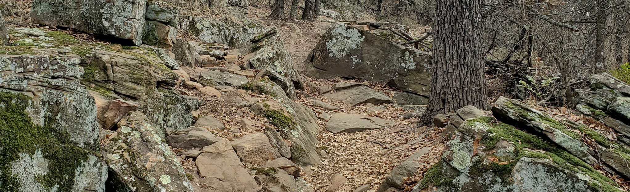 Texas Frontier Western Heritage - EyJidWNrZXQiOiJhc3NldHMuYWxsdHJhaWxzLmNvbSIsImtleSI6InVwbG9hZHMvcGhvdG8vaW1hZ2UvNDM0ODYxMDMvZDNjNTFhOGQ1MGI4ZWM5NTc4MjYyZjQ3NWNiNmMwNmIuanBnIiwiZWRpdHMiOnsidG9Gb3JtYXQiOiJqcGVnIiwicmVzaXplIjp7IndpZHRoIjoyMDQ0LCJoZWlnaHQiOjYyNCwiZml0IjoiY292ZXIifSwicm90YXRlIjpudWxsLCJqcGVnIjp7InRyZWxsaXNRdWFudGlzYXRpb24iOnRydWUsIm92ZXJzaG9vdERlcmluZ2luZyI6dHJ1ZSwib3B0aW1pc2VTY2FucyI6dHJ1ZSwicXVhbnRpc2F0aW9uVGFibGUiOjN9fX0=