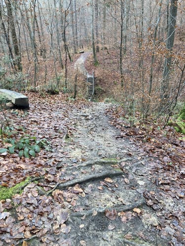 Firstwaldrunde (Premiumwanderweg)