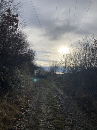 Firstwaldrunde (Premiumwanderweg)