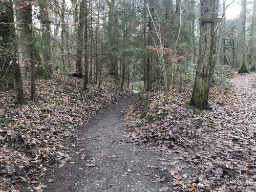 Mariengrotte und Druslacher Stausee ab Westheim