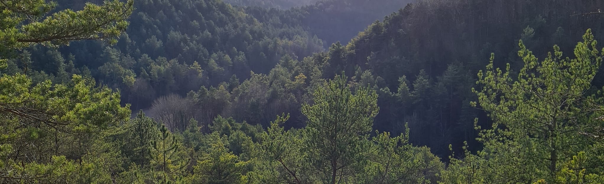 AllTrails Grands Bois Circuit 20 Reviews, Map Aube, France