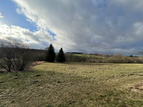 EifelSchleife Moorpfad Dahlem