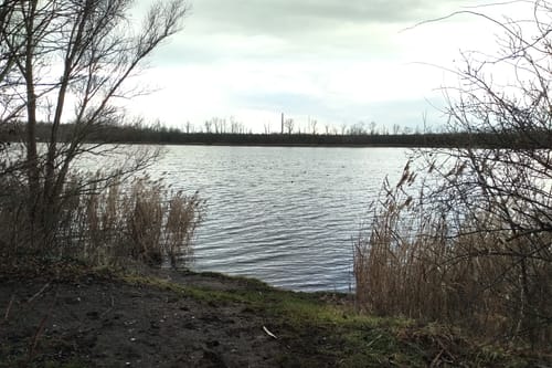 Halle (Saale) Hufeisensee Runde