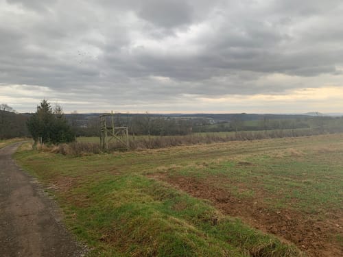 Panoramaweg Nalbach-Piesbach