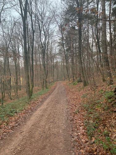 Panoramaweg Nalbach-Piesbach