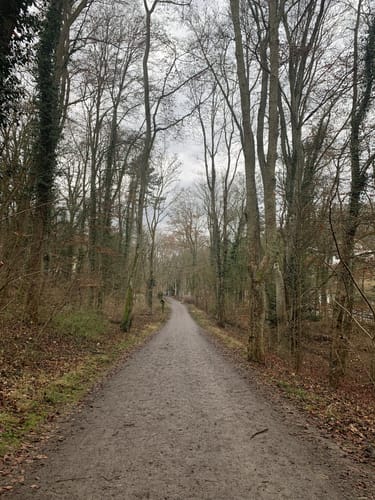 Rund um das Steinbachtal