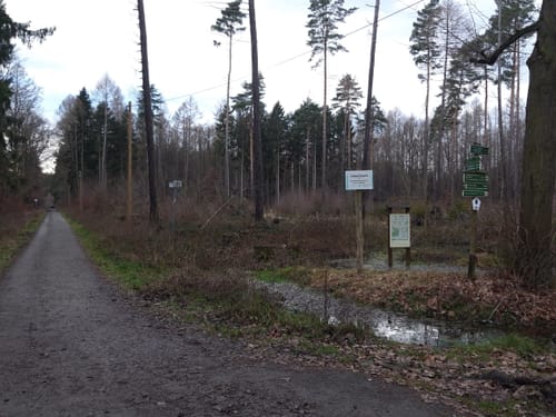 Zu den drei Teichen und zur Cottaeiche