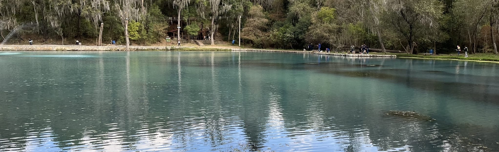 Bosque de las Truchas, Hidalgo, Mexico