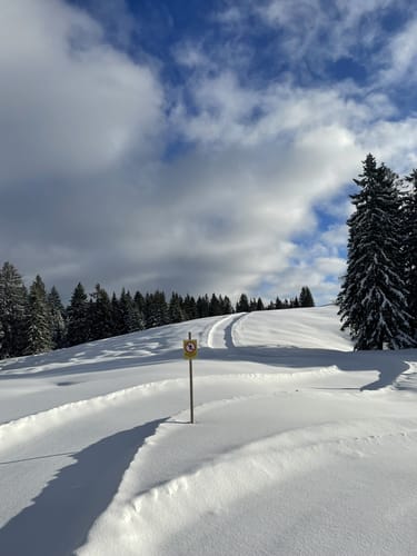 Blindau - Hindenburg Hütte - Straubinger Haus