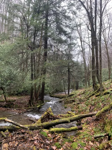 10 Best Hikes and Trails in Sproul State Forest | AllTrails