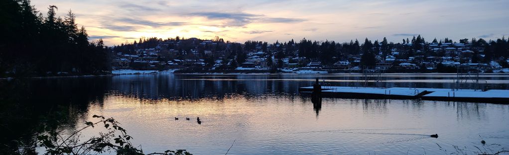 are dogs allowed at seward park seattle