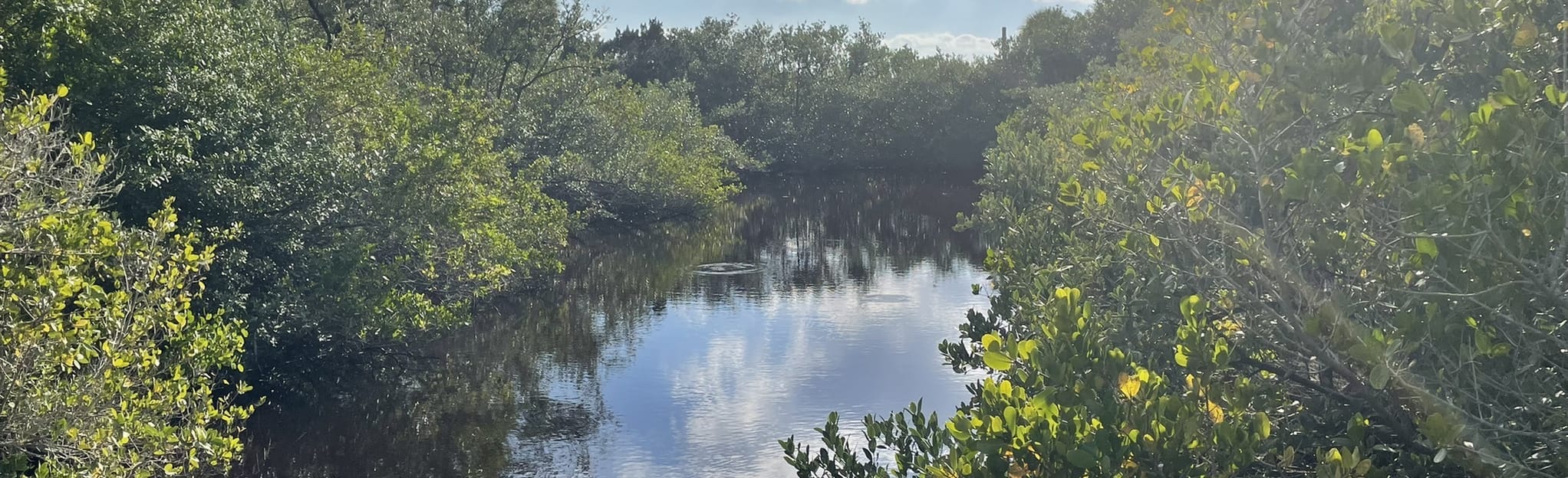 Eldora Village Loop, Florida 65 Reviews, Map AllTrails