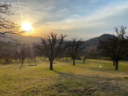 Rund um Eningen