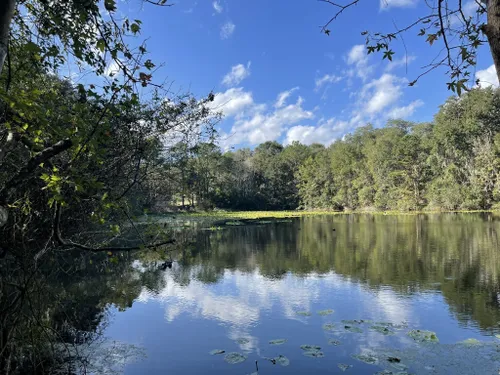 Beacon Hills Walking And Running Trail - Jacksonville, Florida, USA