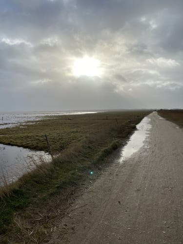 Runde bei Norddorf auf Amrum