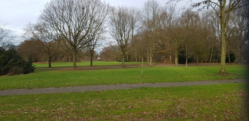 Durch den Angerhausener Biegerpark