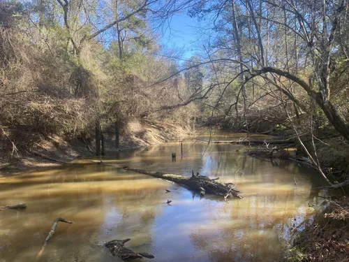 10 Best Hikes and Trails in Big Thicket National Preserve