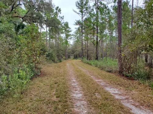 Best Hikes and Trails in Caravelle Ranch Wildlife Management Area ...