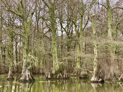 Glory Hole Canoe Trail