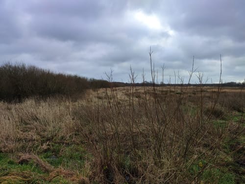 Dörplinger Moor und Eider ab Pahlen