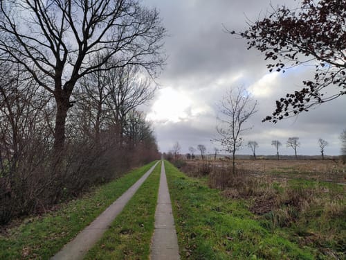 Dörplinger Moor und Eider ab Pahlen