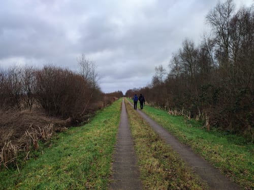 Dörplinger Moor und Eider ab Pahlen