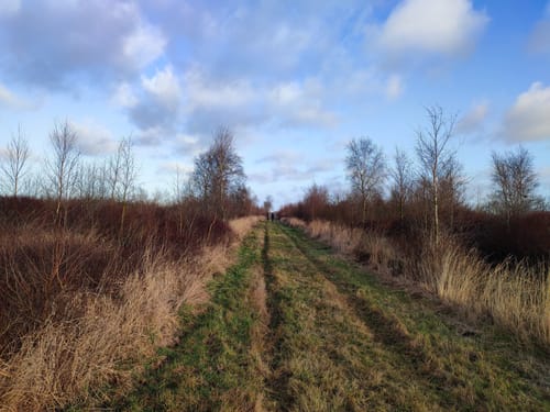 Dörplinger Moor und Eider ab Pahlen