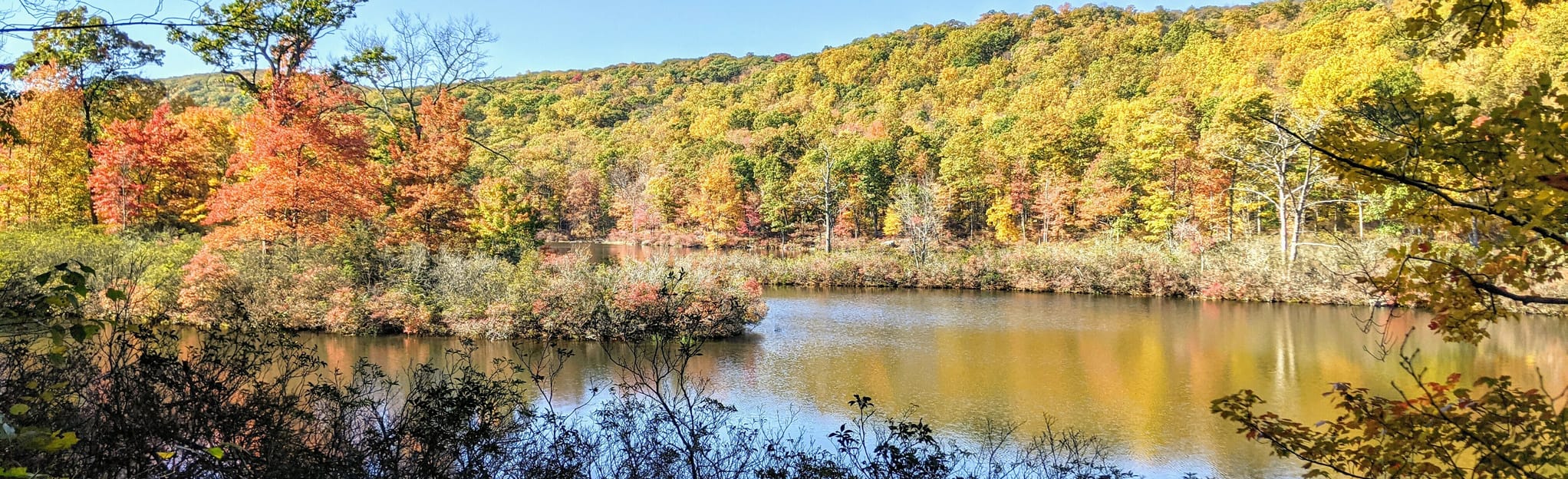 Turkey Hill Pond, New York 145 Reviews, Map AllTrails