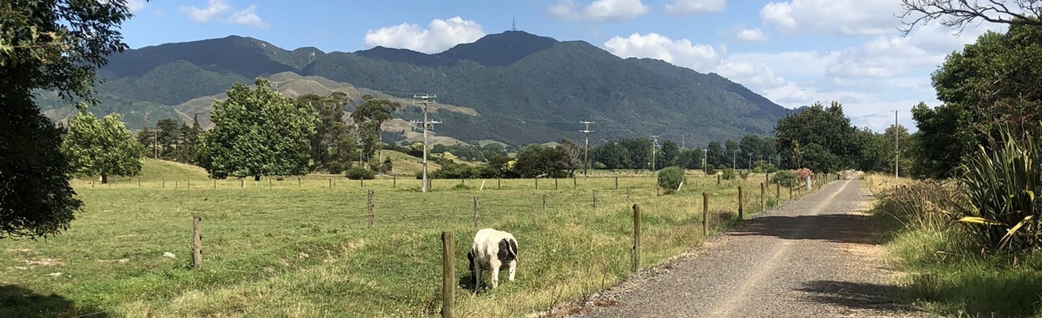 Hauraki Rail Trail (Paeroa to Te Aroha), Waikato, New Zealand 25