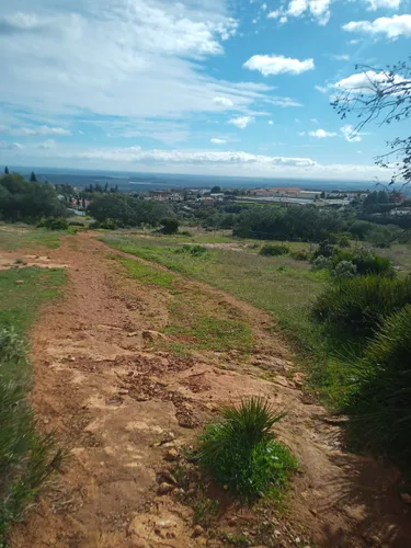 Best Forest Trails in Sierra de Hornachuelos Nature Park AllTrails