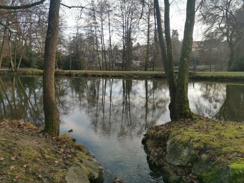 Burg Kronberg - Victoria-Park - Schloss Friedrichshof
