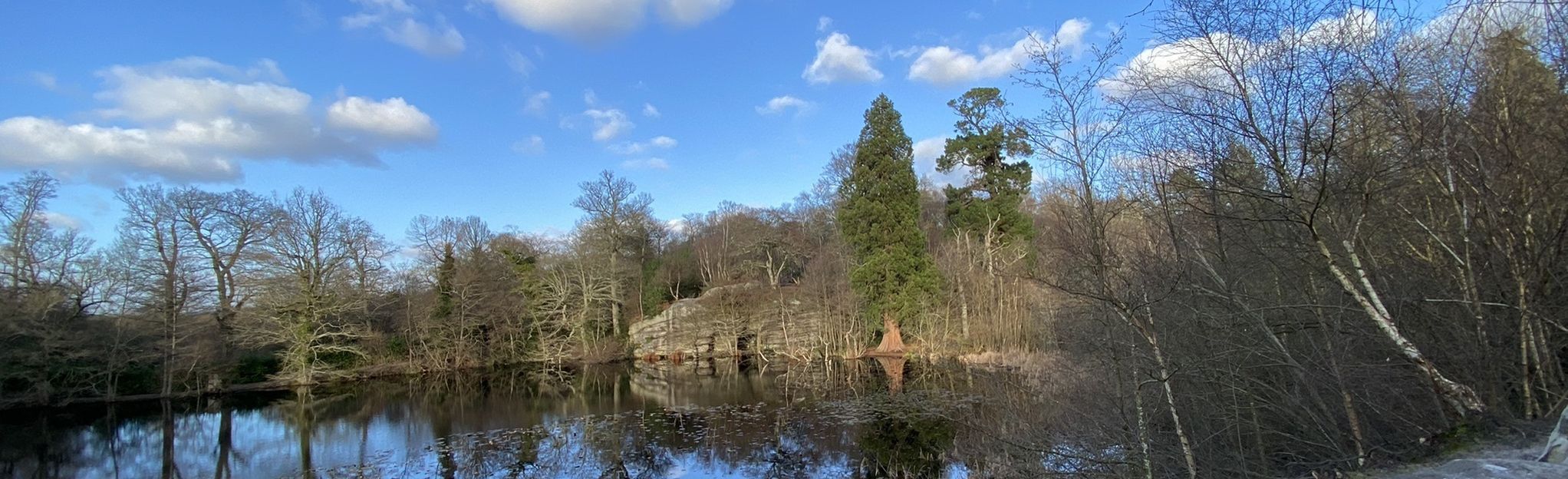 Paygate Wood Lake Wood And Budletts Wood Circular East Sussex England Alltrails