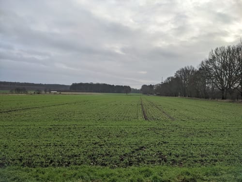 Von Achim-Borstel zum Wittkoppenberg