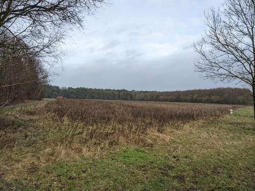Von Achim-Borstel zum Wittkoppenberg