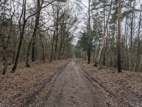 Von Achim-Borstel zum Wittkoppenberg