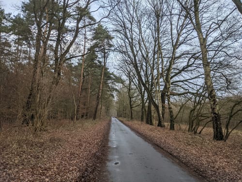 Von Achim-Borstel zum Wittkoppenberg