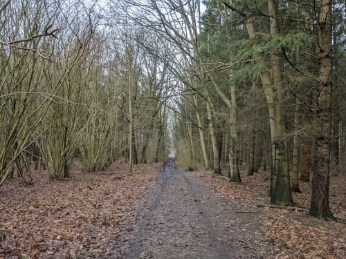 Von Achim-Borstel zum Wittkoppenberg